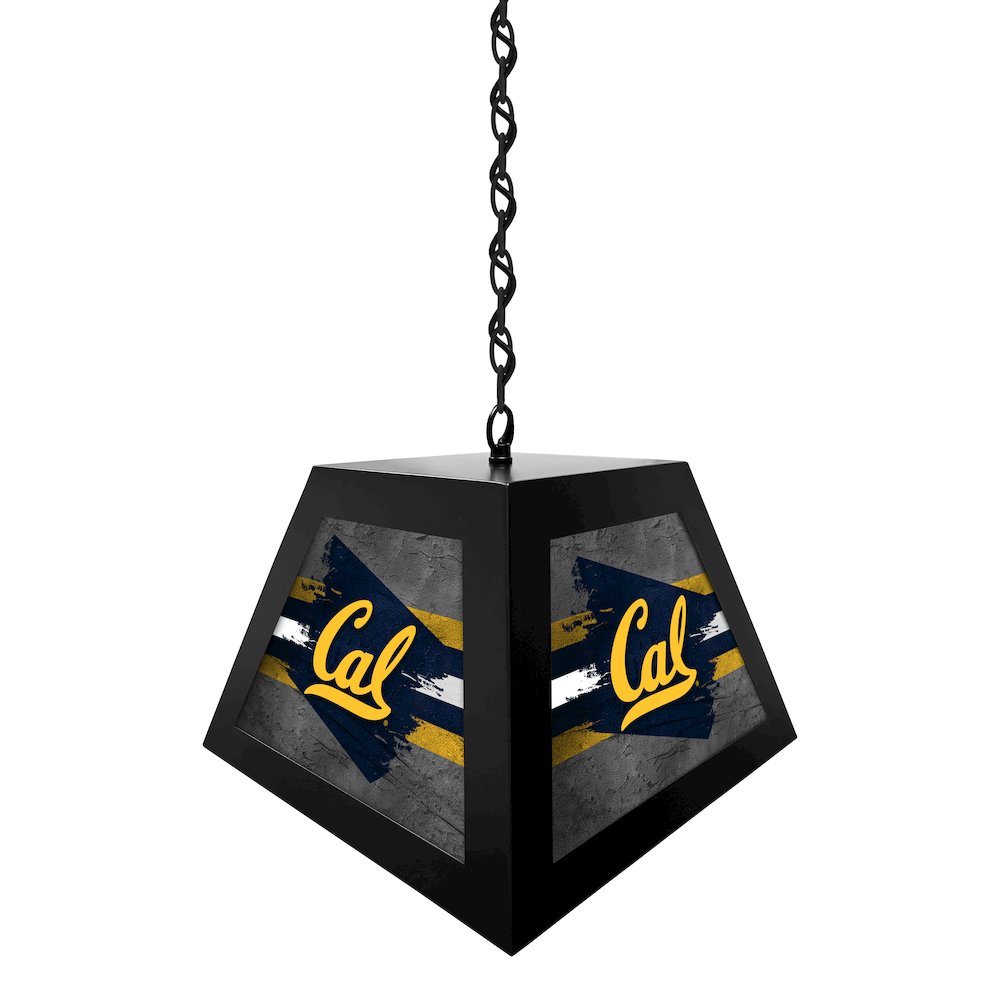University of California Pendant Box Light. Picture 2
