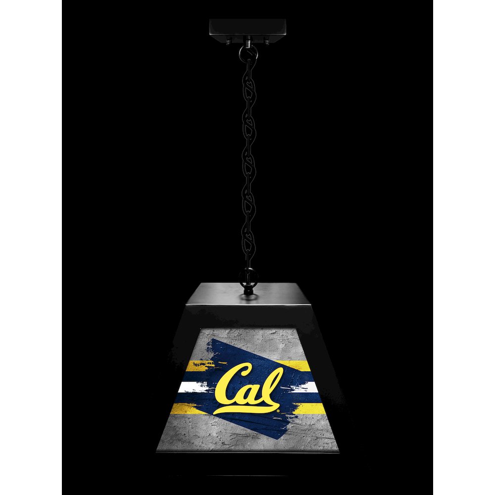 University of California Pendant Box Light. Picture 3