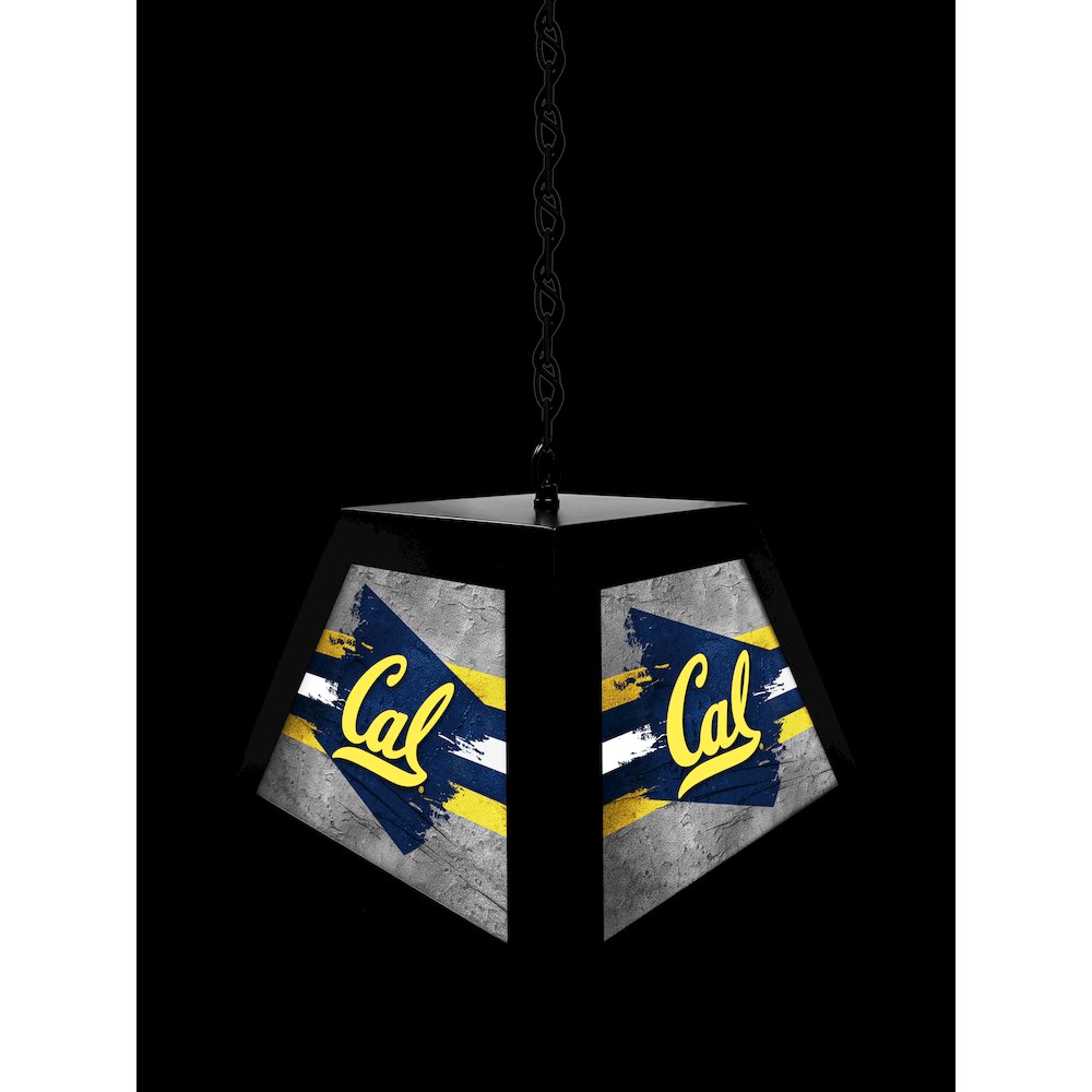 University of California Pendant Box Light. Picture 4