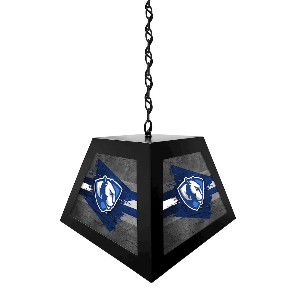 Eastern Illinois University Pendant Box Light. Picture 2