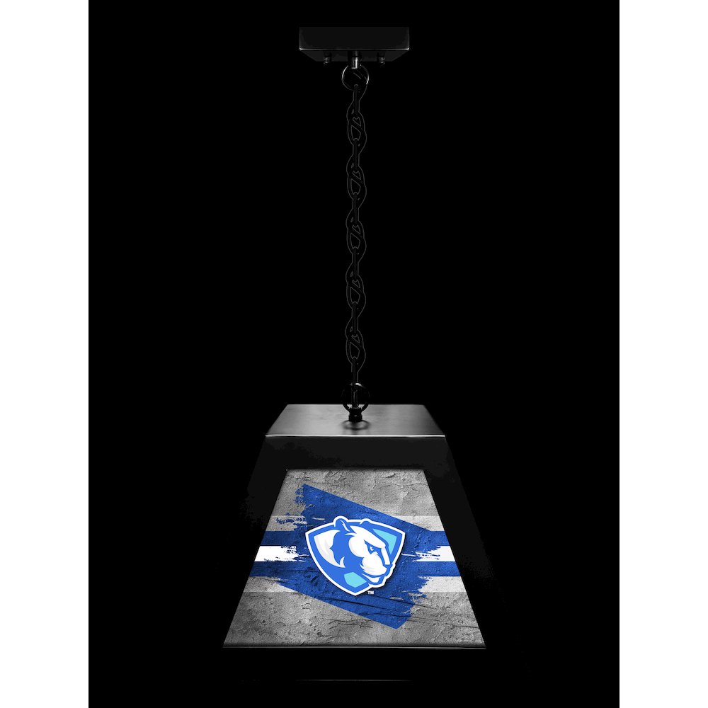 Eastern Illinois University Pendant Box Light. Picture 3