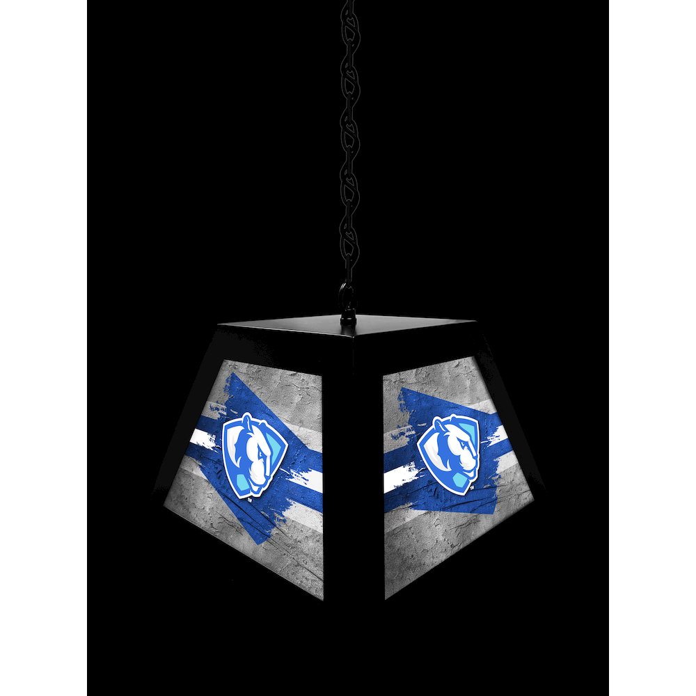 Eastern Illinois University Pendant Box Light. Picture 4