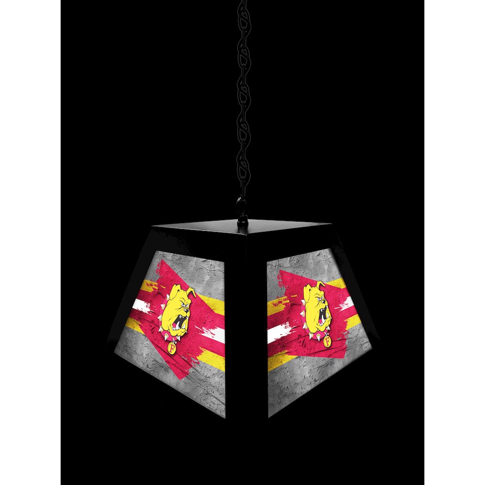 Ferris State University Pendant Box Light. Picture 4