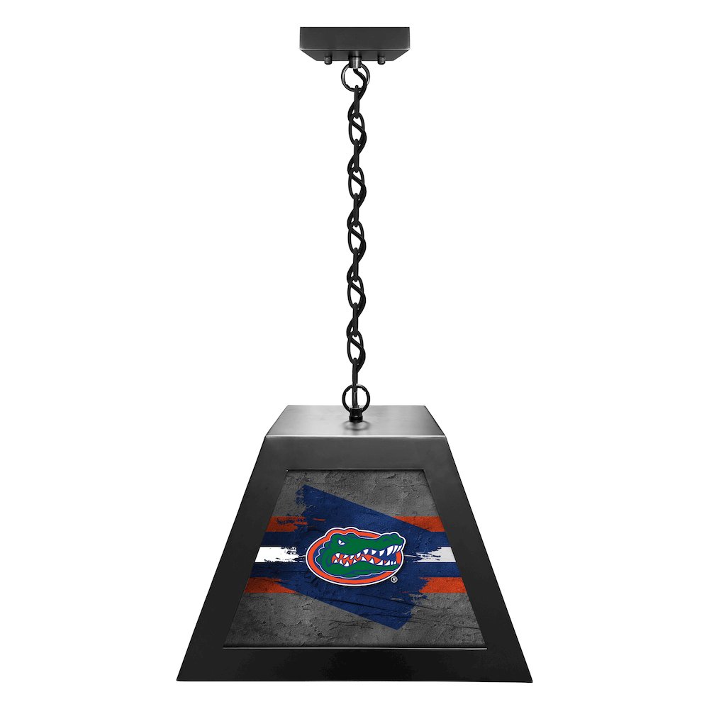 University of Florida Pendant Box Light. Picture 1