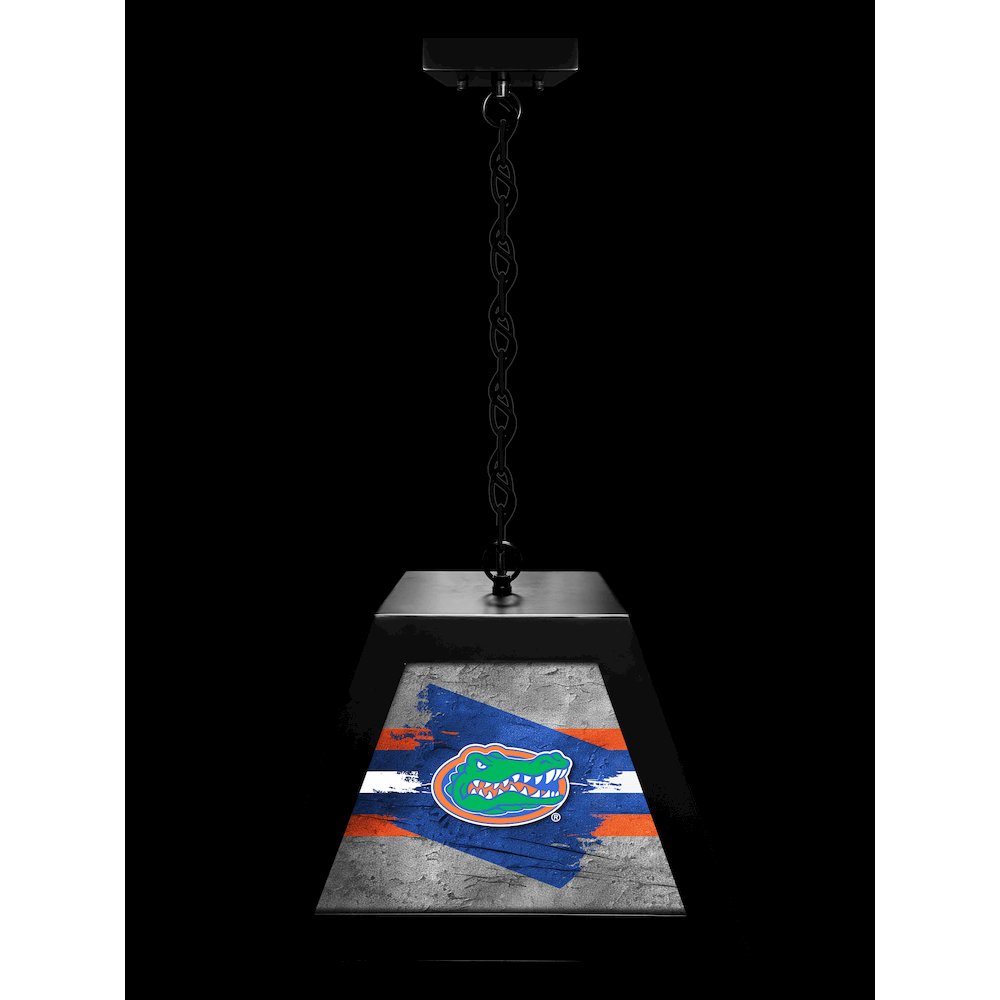 University of Florida Pendant Box Light. Picture 3