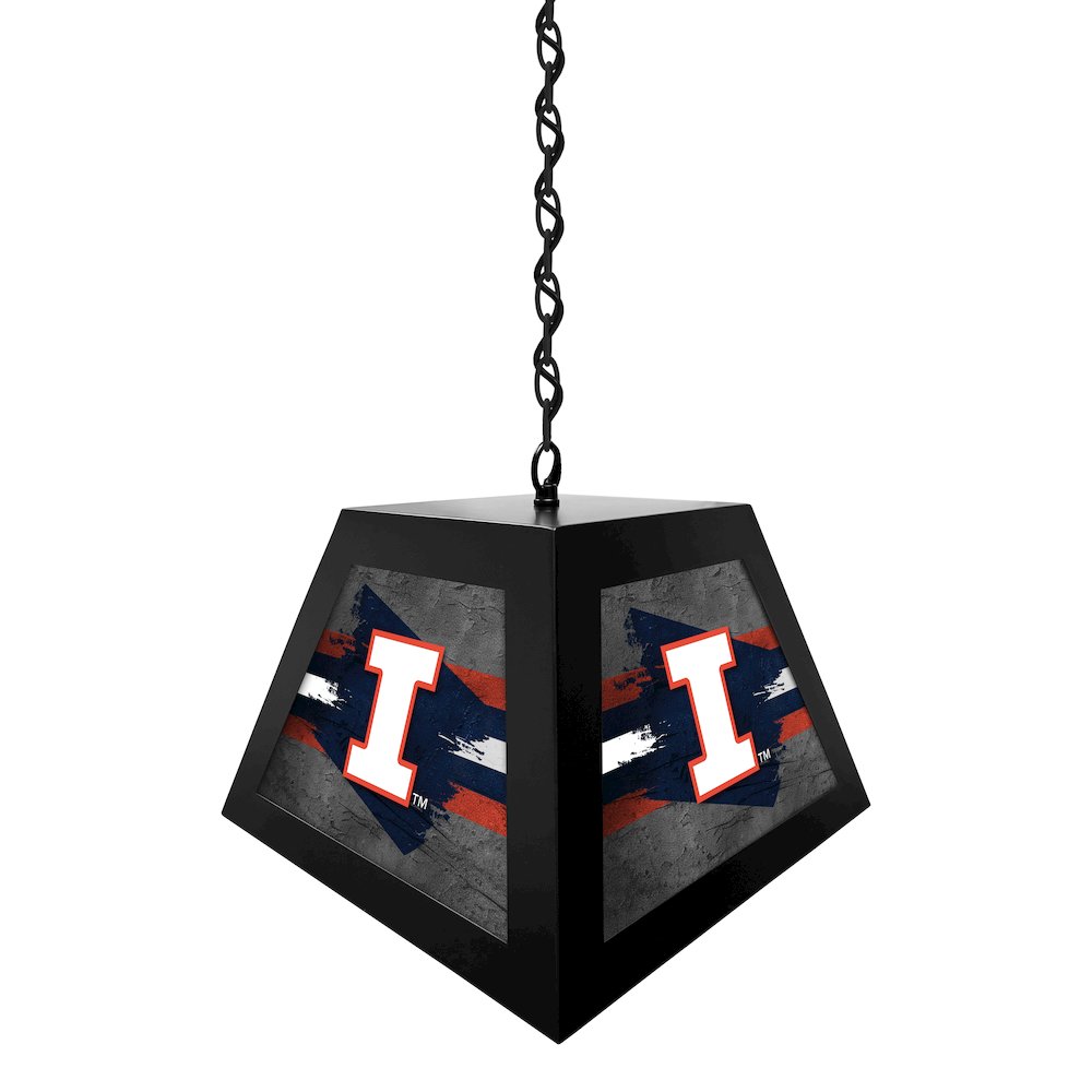 University of Illinois Pendant Box Light. Picture 2
