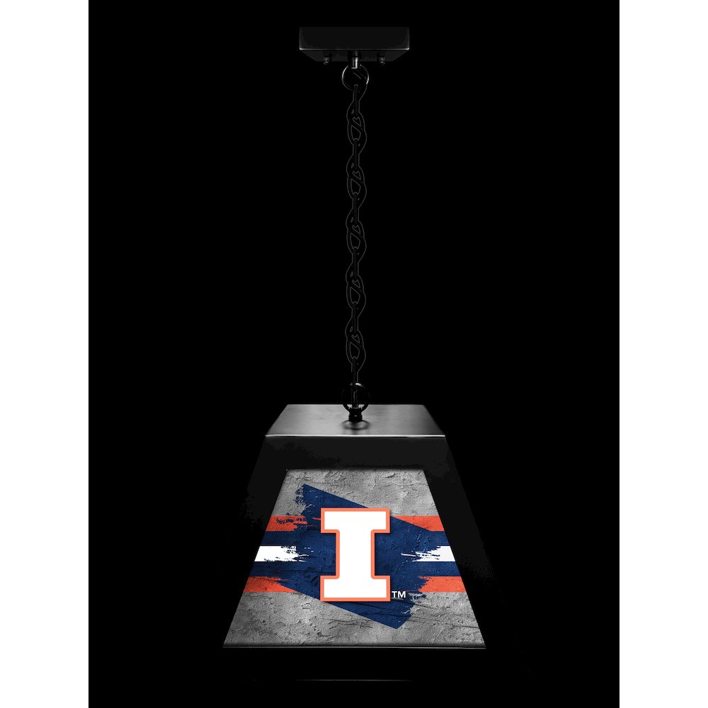 University of Illinois Pendant Box Light. Picture 3