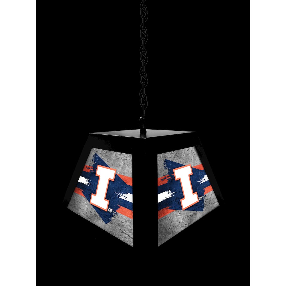 University of Illinois Pendant Box Light. Picture 4