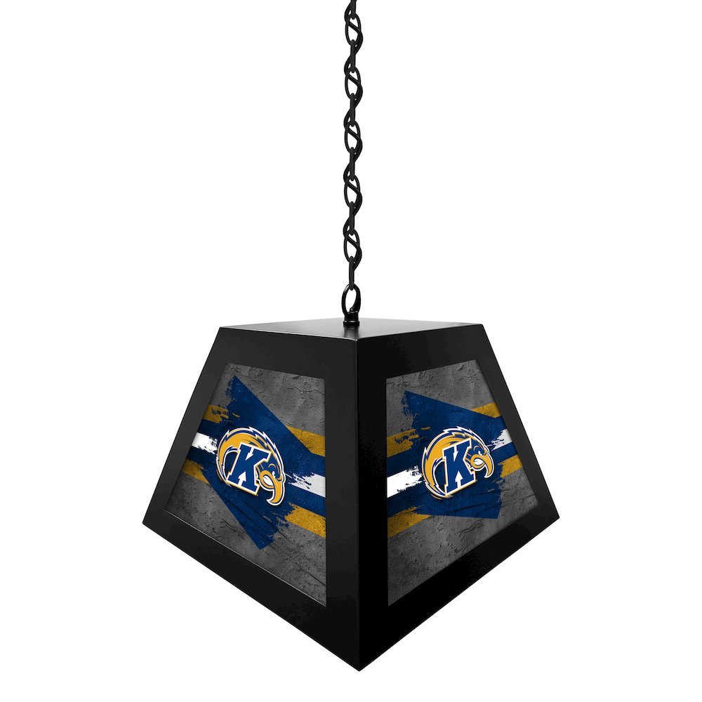 Kent State University Pendant Box Light. Picture 2
