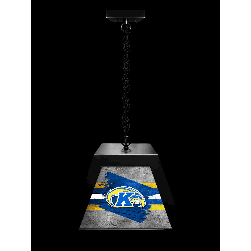 Kent State University Pendant Box Light. Picture 3