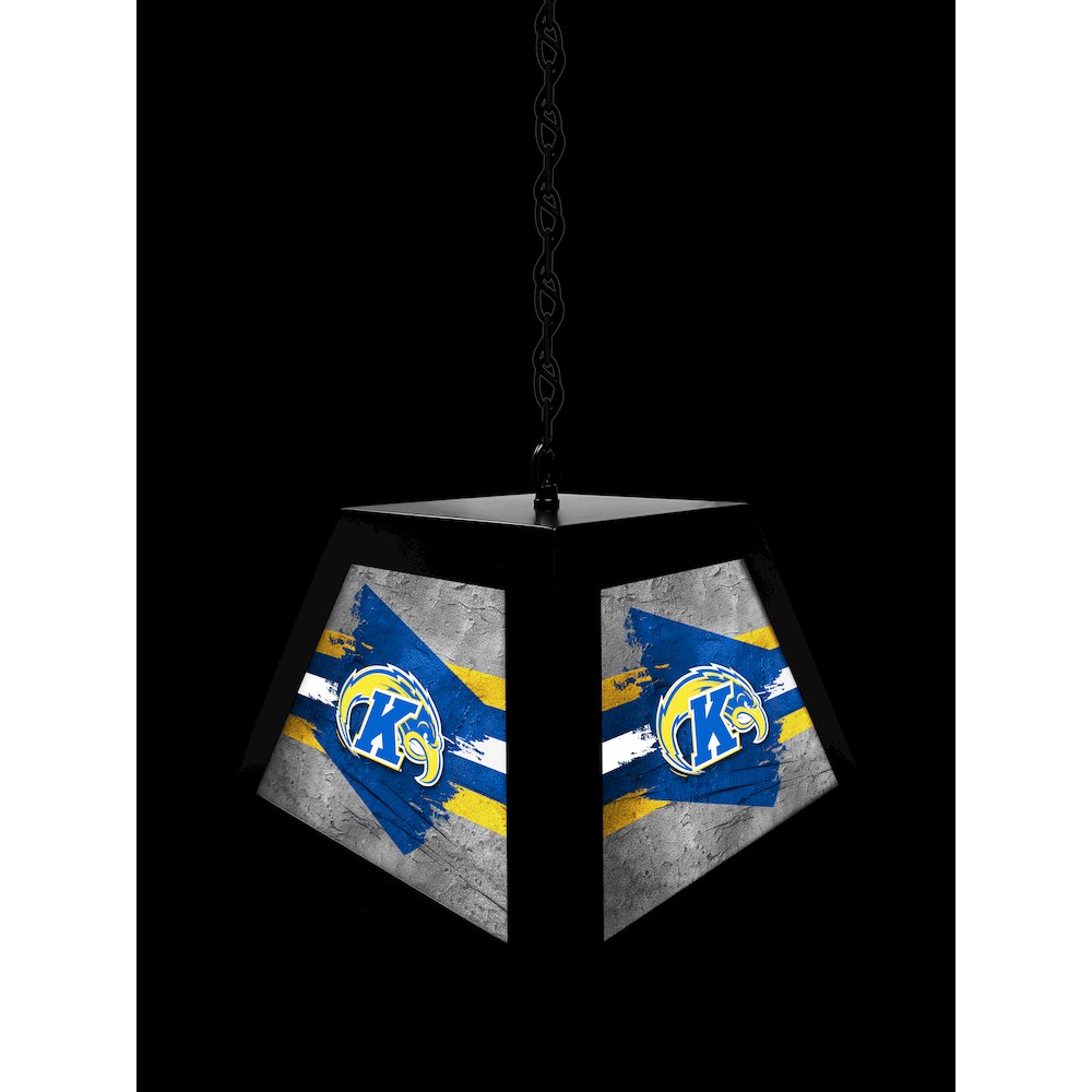Kent State University Pendant Box Light. Picture 4