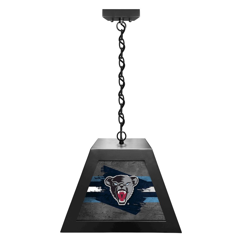 University of Maine Pendant Box Light. Picture 1
