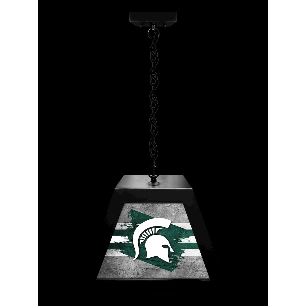 Michigan State University Pendant Box Light. Picture 3