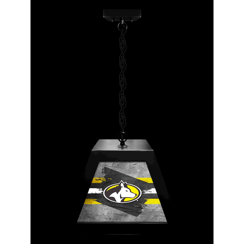 Michigan Tech University Pendant Box Light. Picture 3