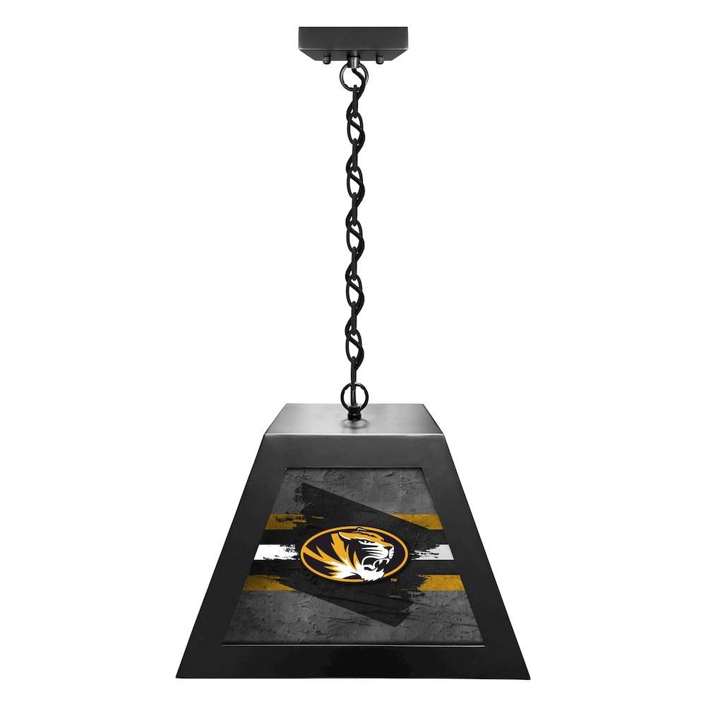 University of Missouri Pendant Box Light. Picture 1