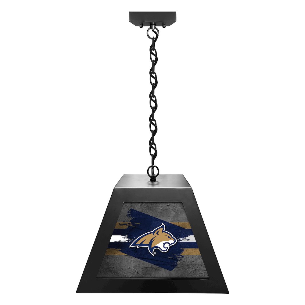 Montana State University Pendant Box Light. Picture 1