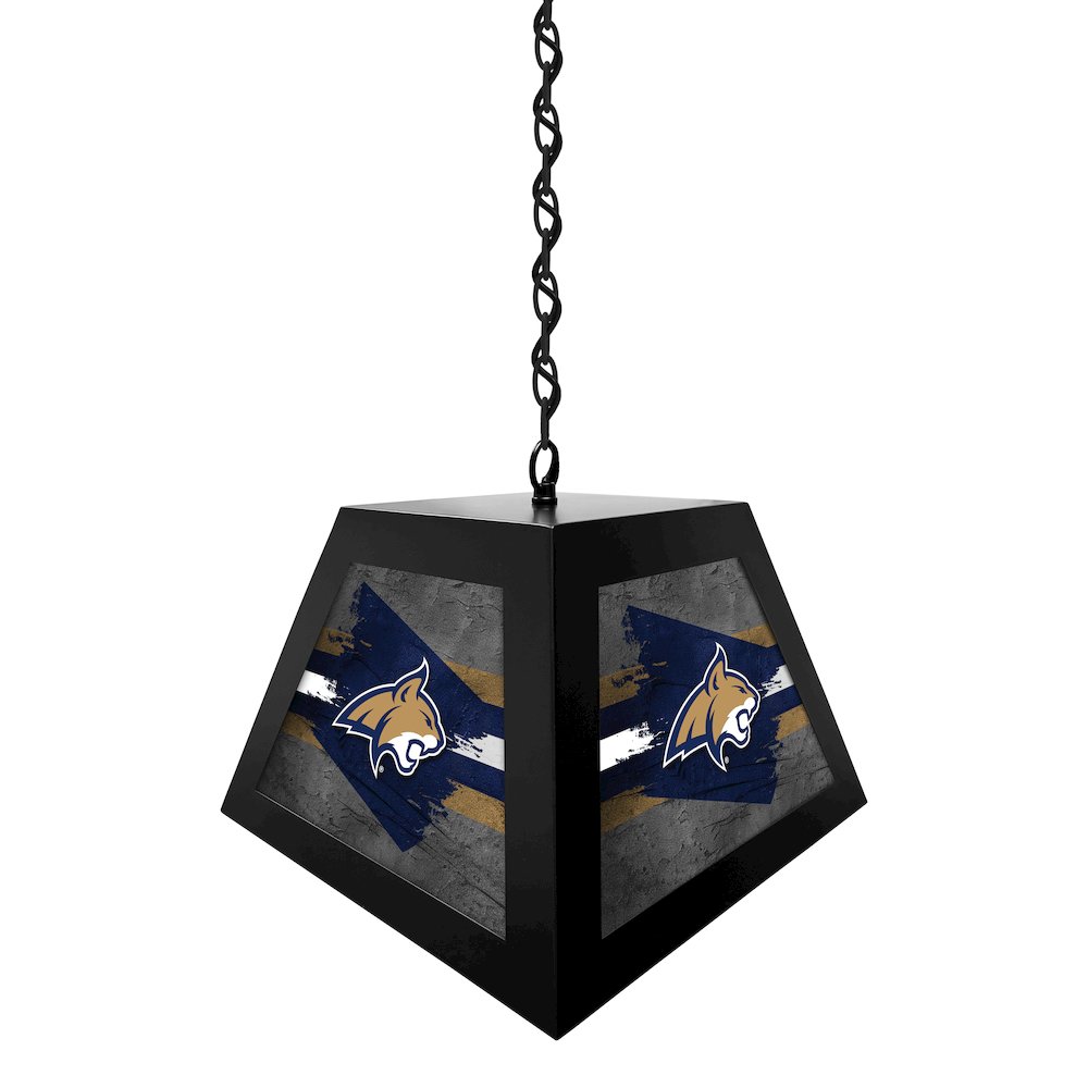 Montana State University Pendant Box Light. Picture 2