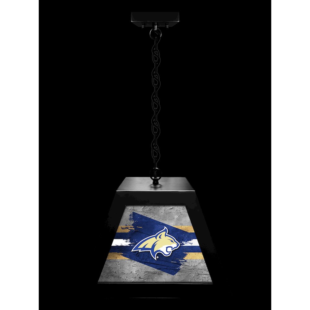 Montana State University Pendant Box Light. Picture 3
