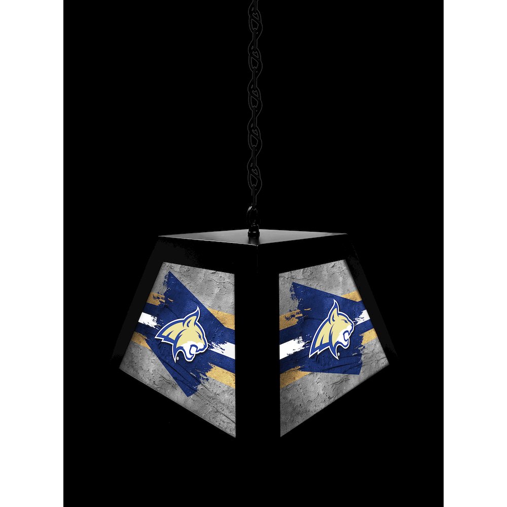 Montana State University Pendant Box Light. Picture 4
