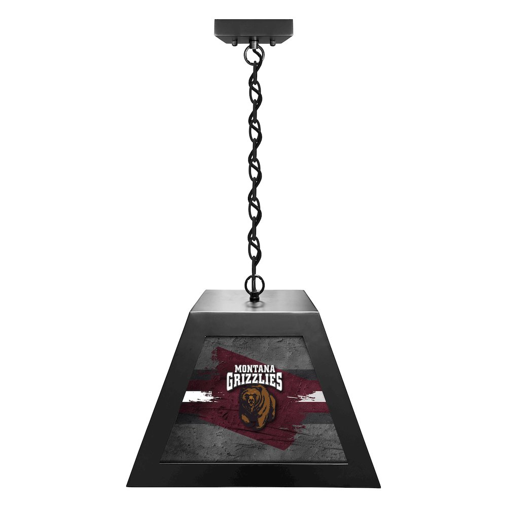 University of Montana Pendant Box Light. Picture 1