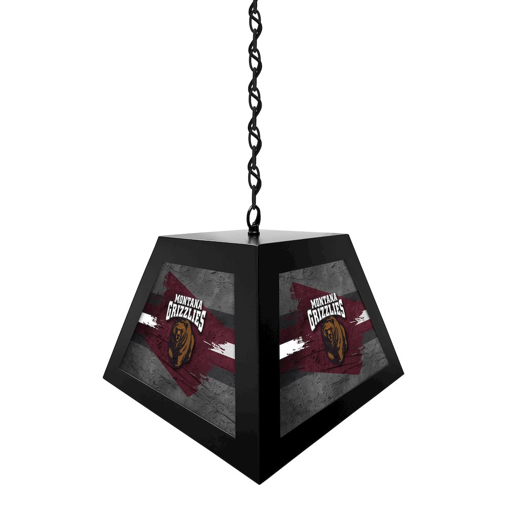 University of Montana Pendant Box Light. Picture 2