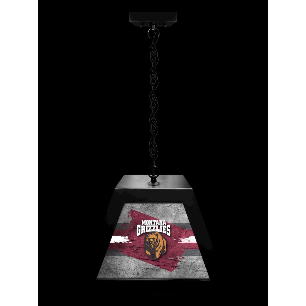 University of Montana Pendant Box Light. Picture 3