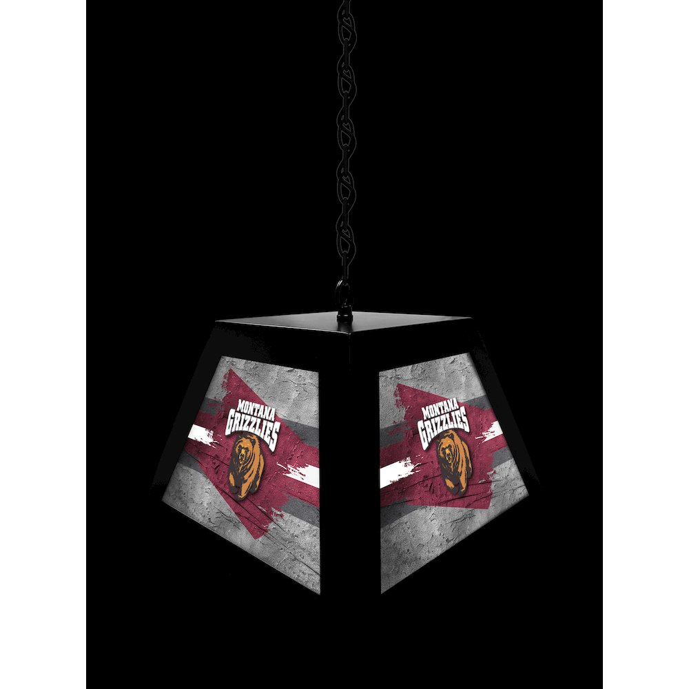 University of Montana Pendant Box Light. Picture 4