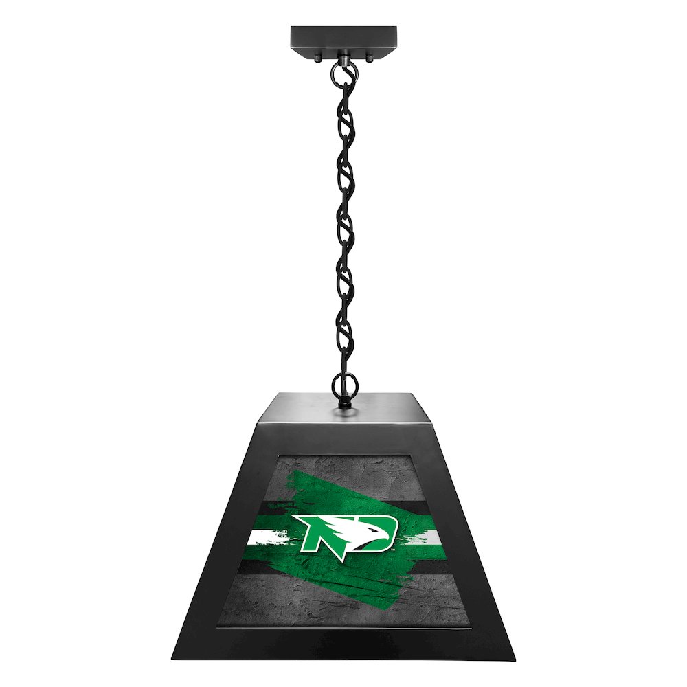 University of North Dakota Pendant Box Light. Picture 1