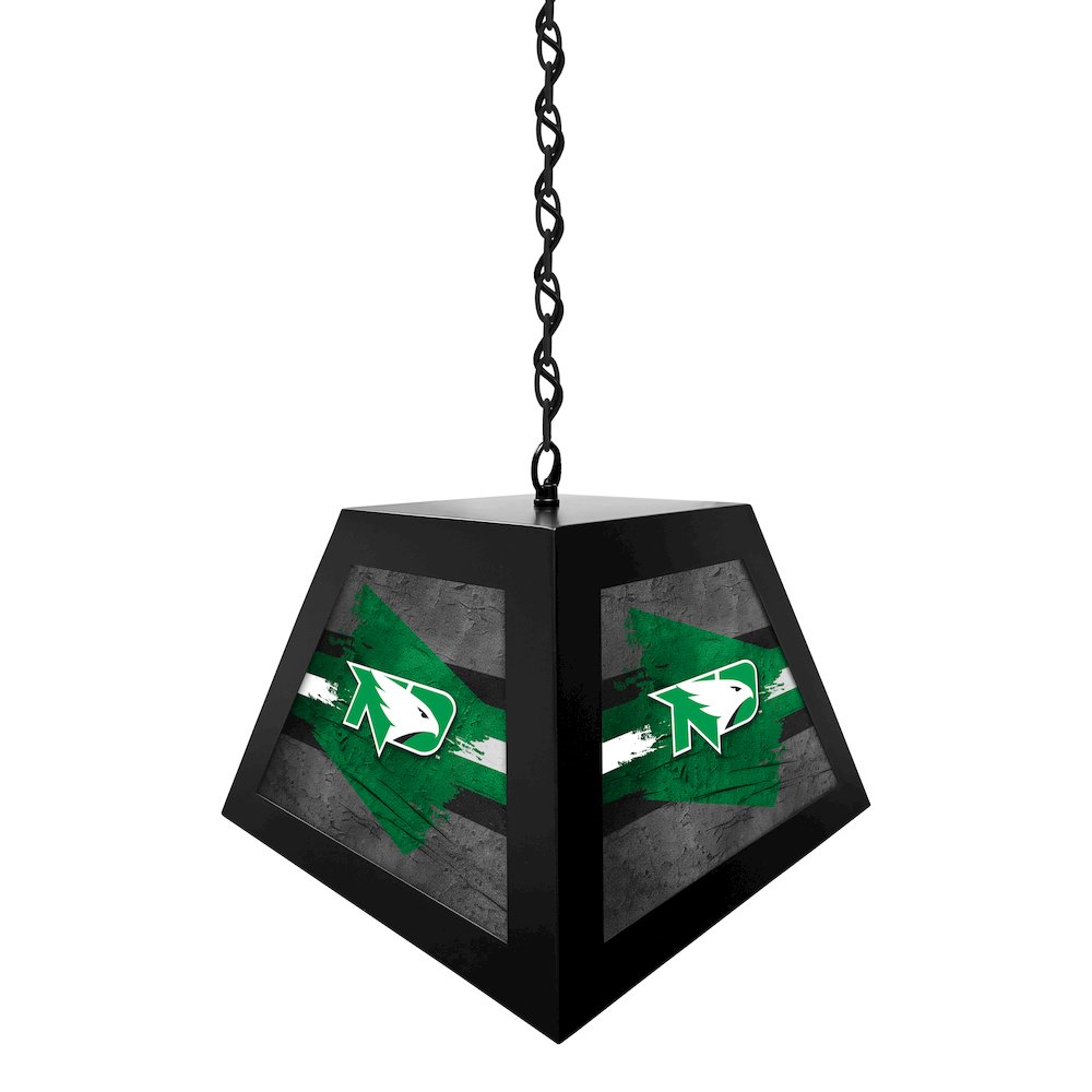 University of North Dakota Pendant Box Light. Picture 2