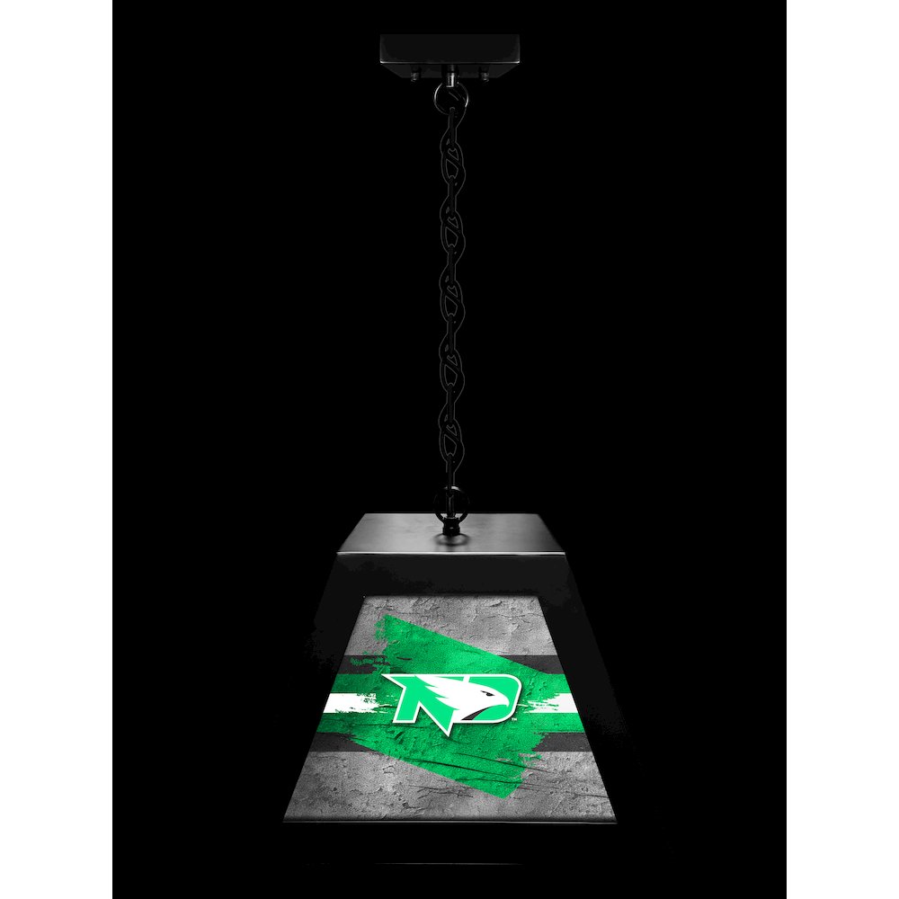 University of North Dakota Pendant Box Light. Picture 3