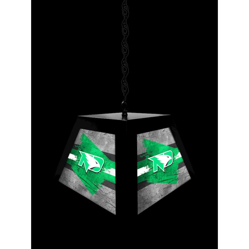 University of North Dakota Pendant Box Light. Picture 4