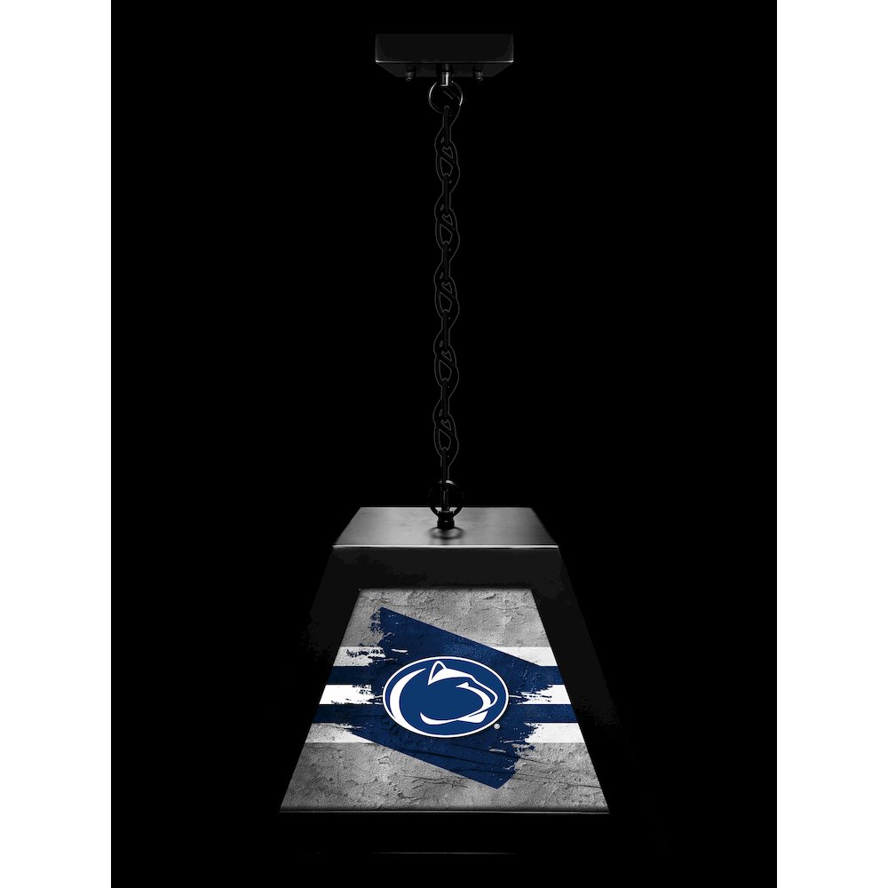Pennsylvania State University Pendant Box Light. Picture 3