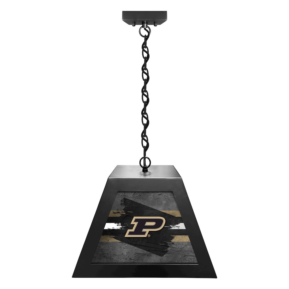 Purdue Pendant Box Light. Picture 1