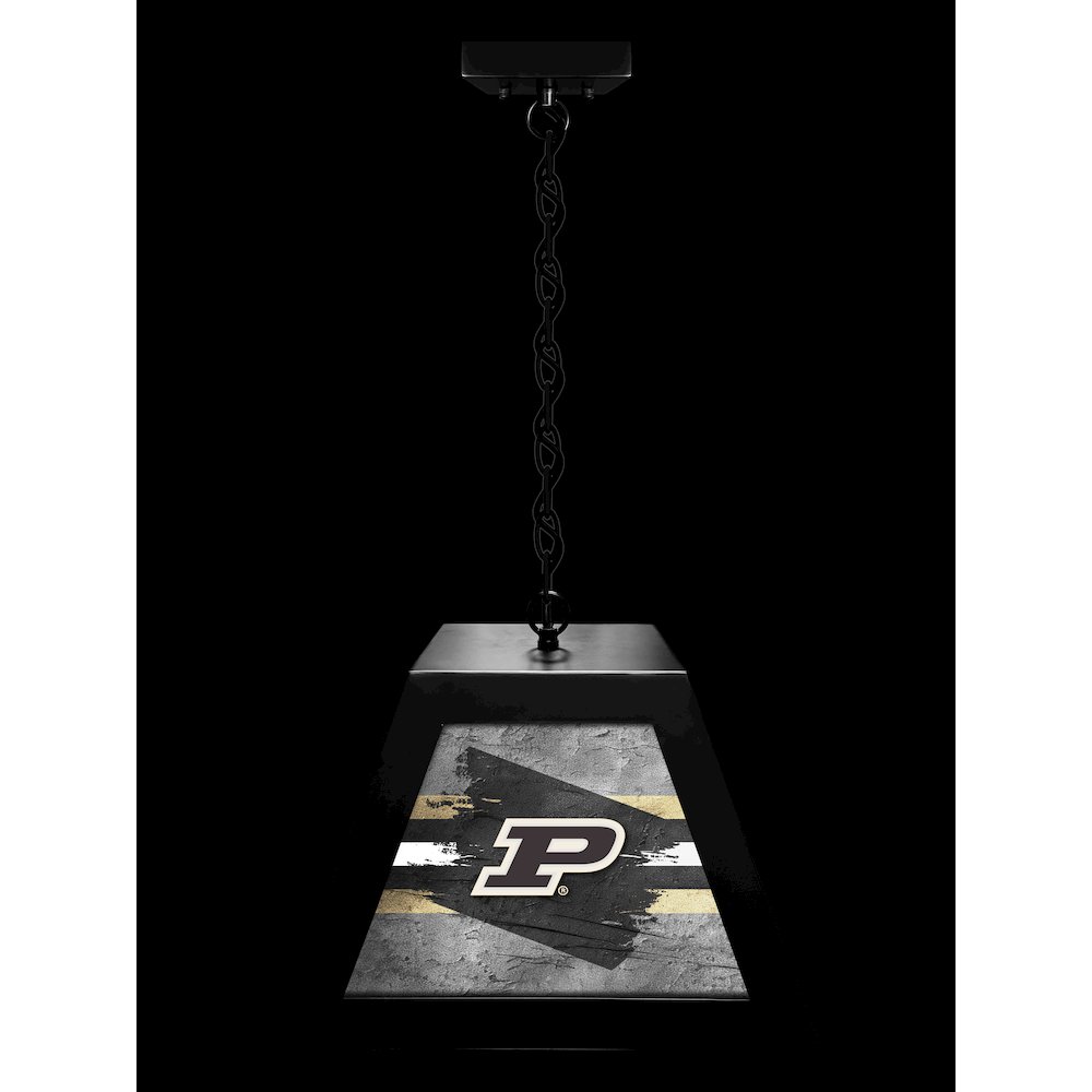 Purdue Pendant Box Light. Picture 3