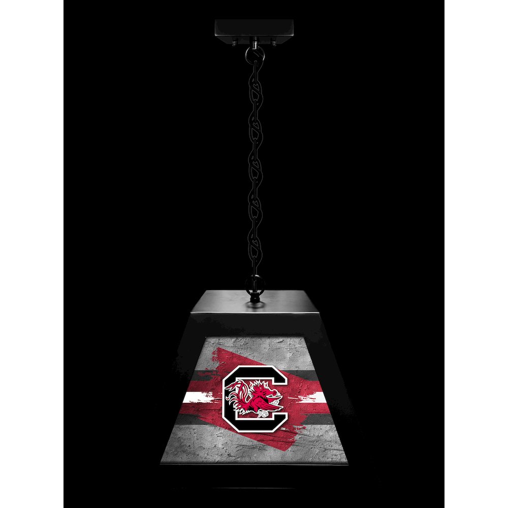 University of South Carolina Pendant Box Light. Picture 3