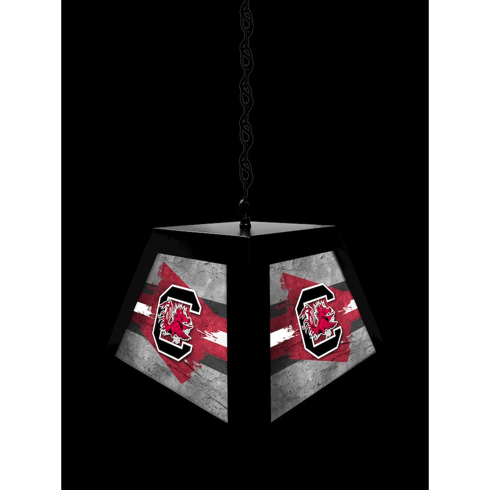 University of South Carolina Pendant Box Light. Picture 4