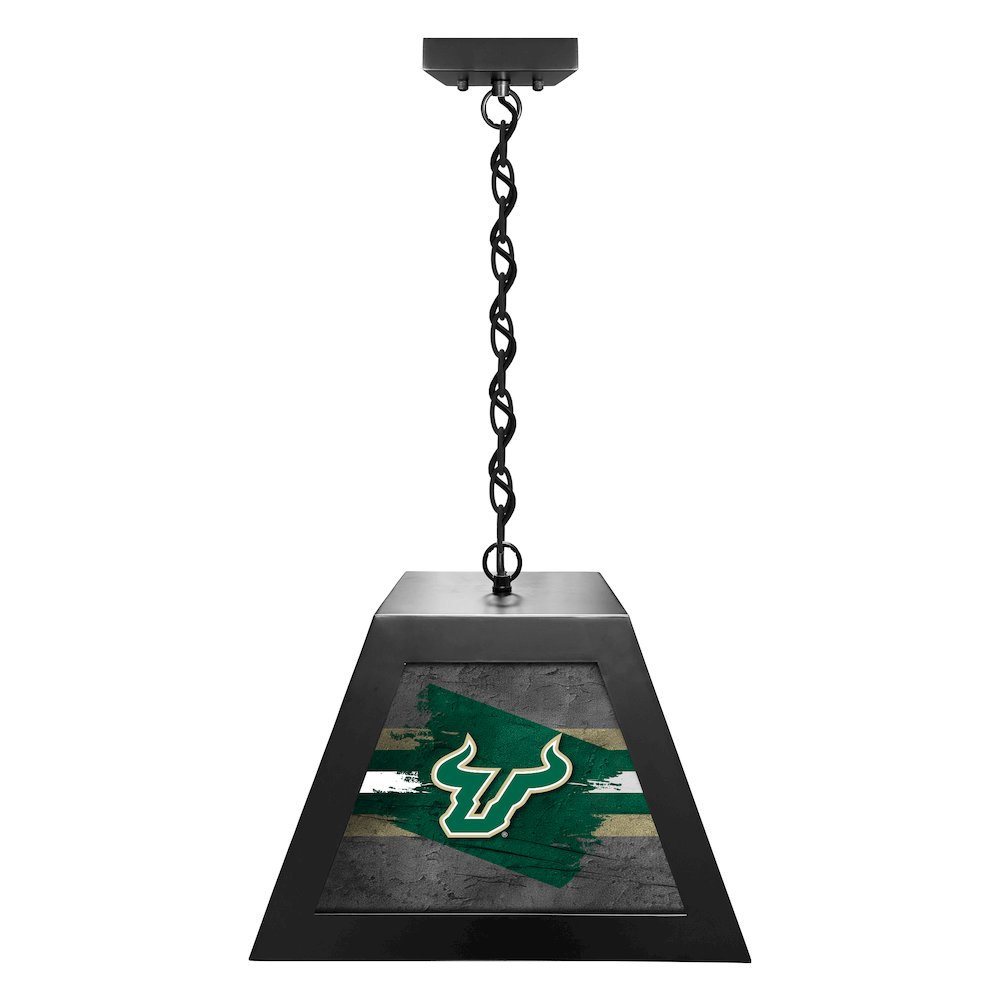 University of South Florida Pendant Box Light. Picture 1