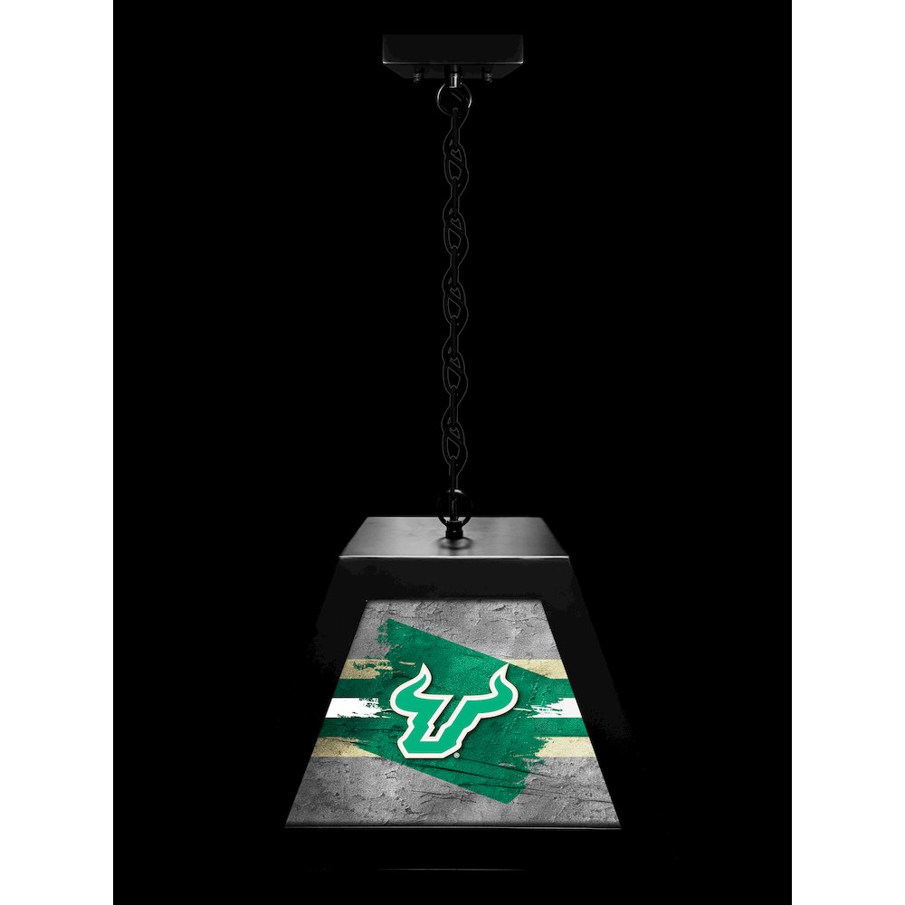 University of South Florida Pendant Box Light. Picture 3