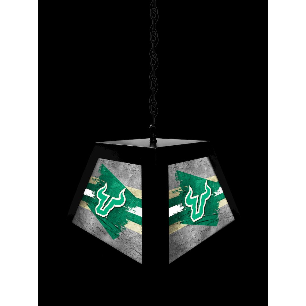 University of South Florida Pendant Box Light. Picture 4