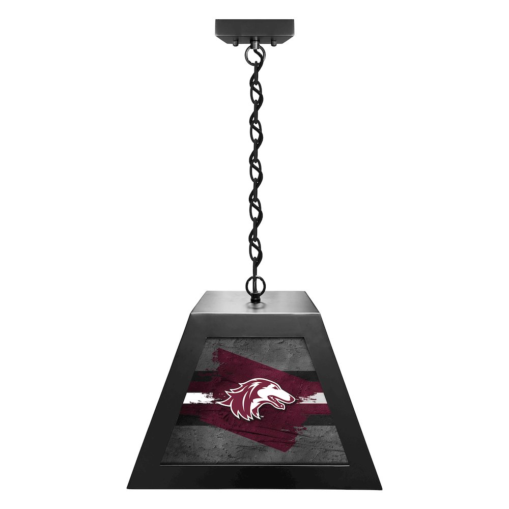 Southern Illinois University Pendant Box Light. Picture 1