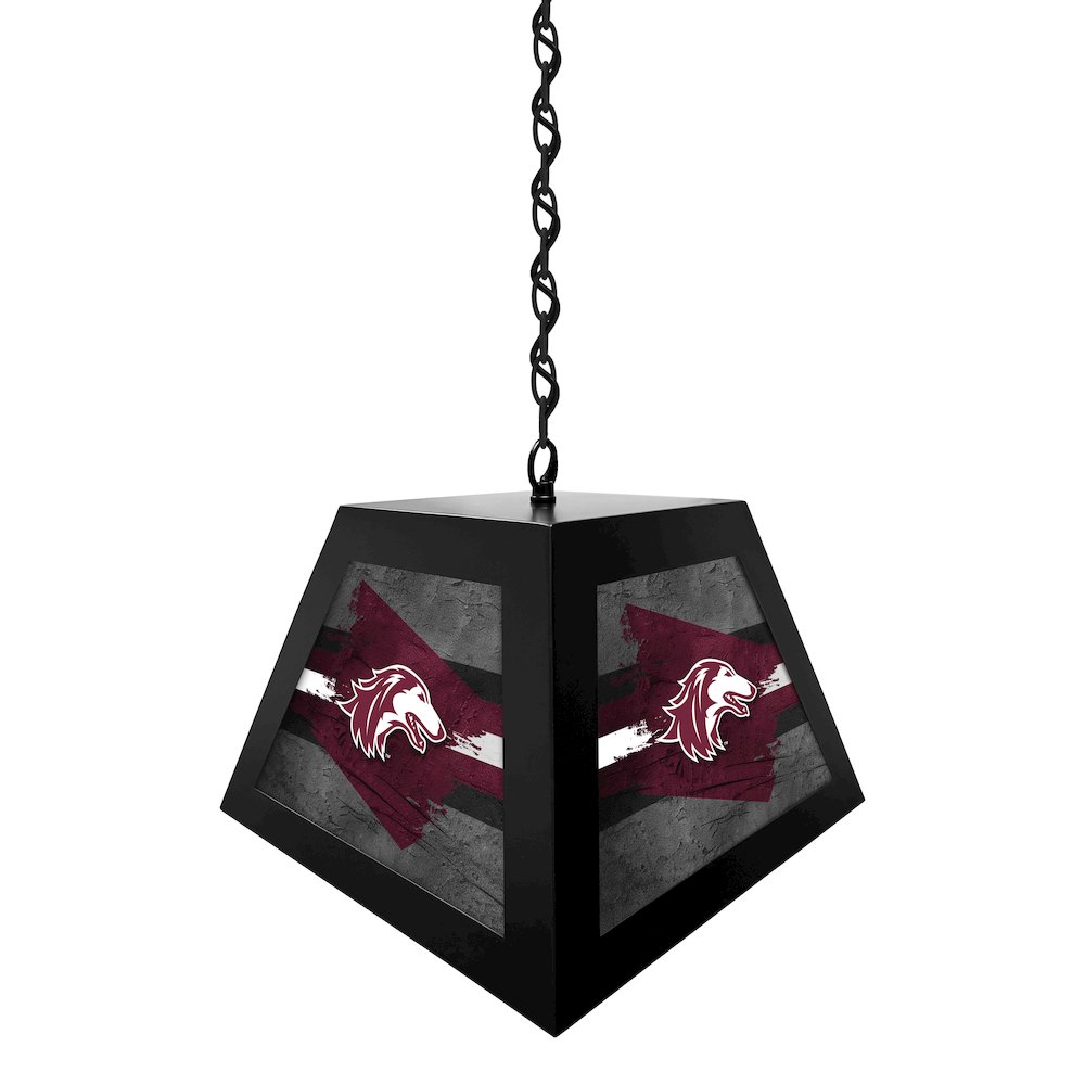 Southern Illinois University Pendant Box Light. Picture 2