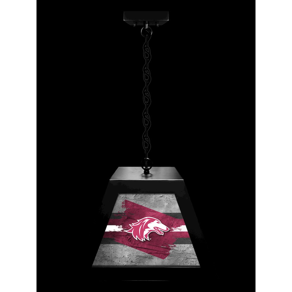 Southern Illinois University Pendant Box Light. Picture 3