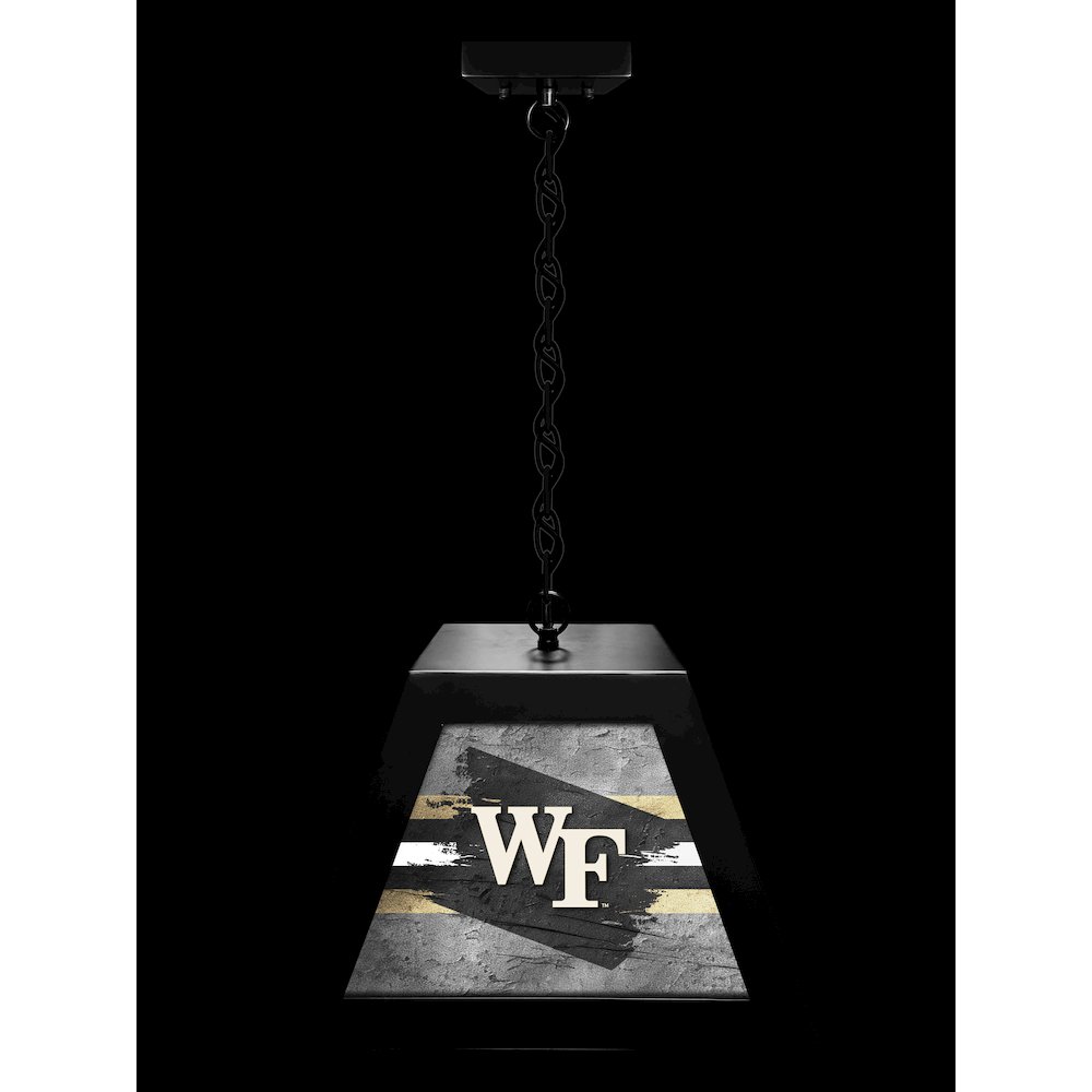 Wake Forest University Pendant Box Light. Picture 3