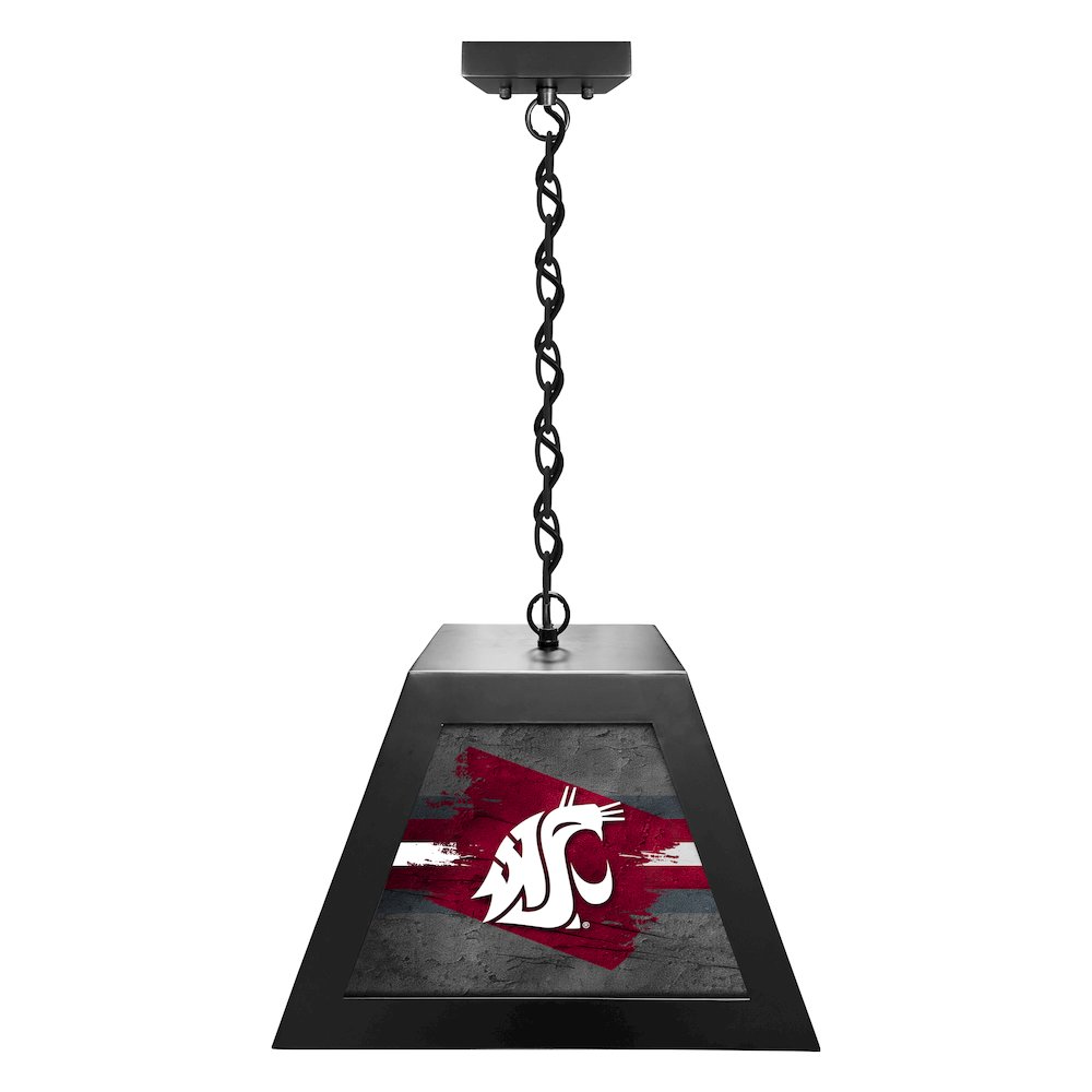 Washington State University Pendant Box Light. Picture 1