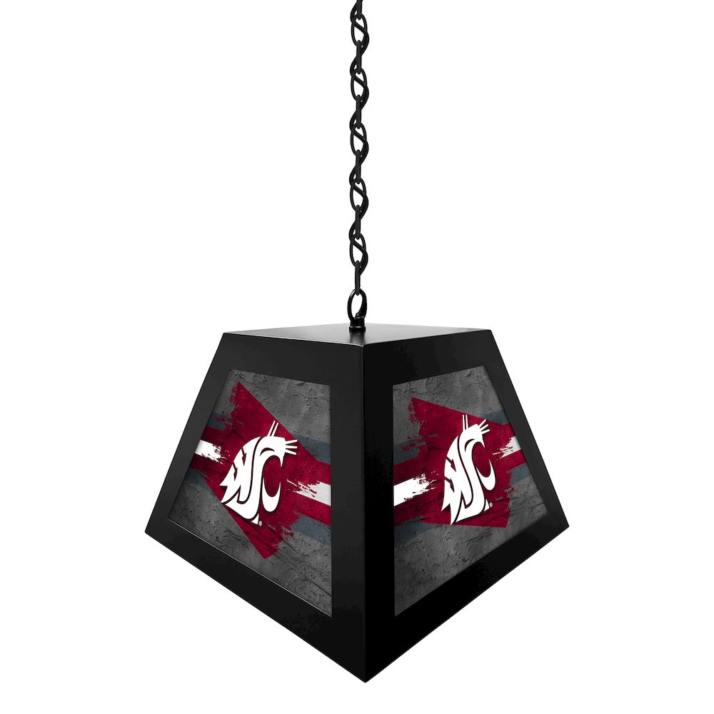 Washington State University Pendant Box Light. Picture 2