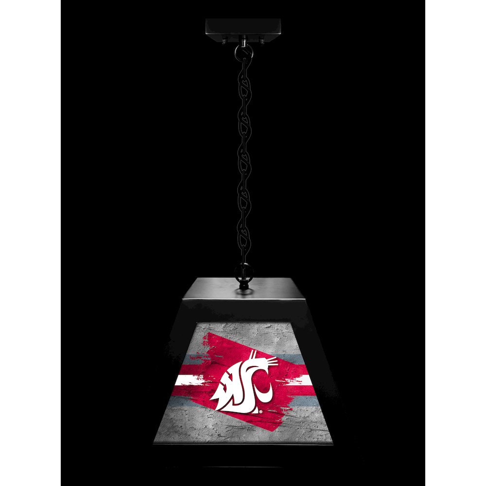 Washington State University Pendant Box Light. Picture 3