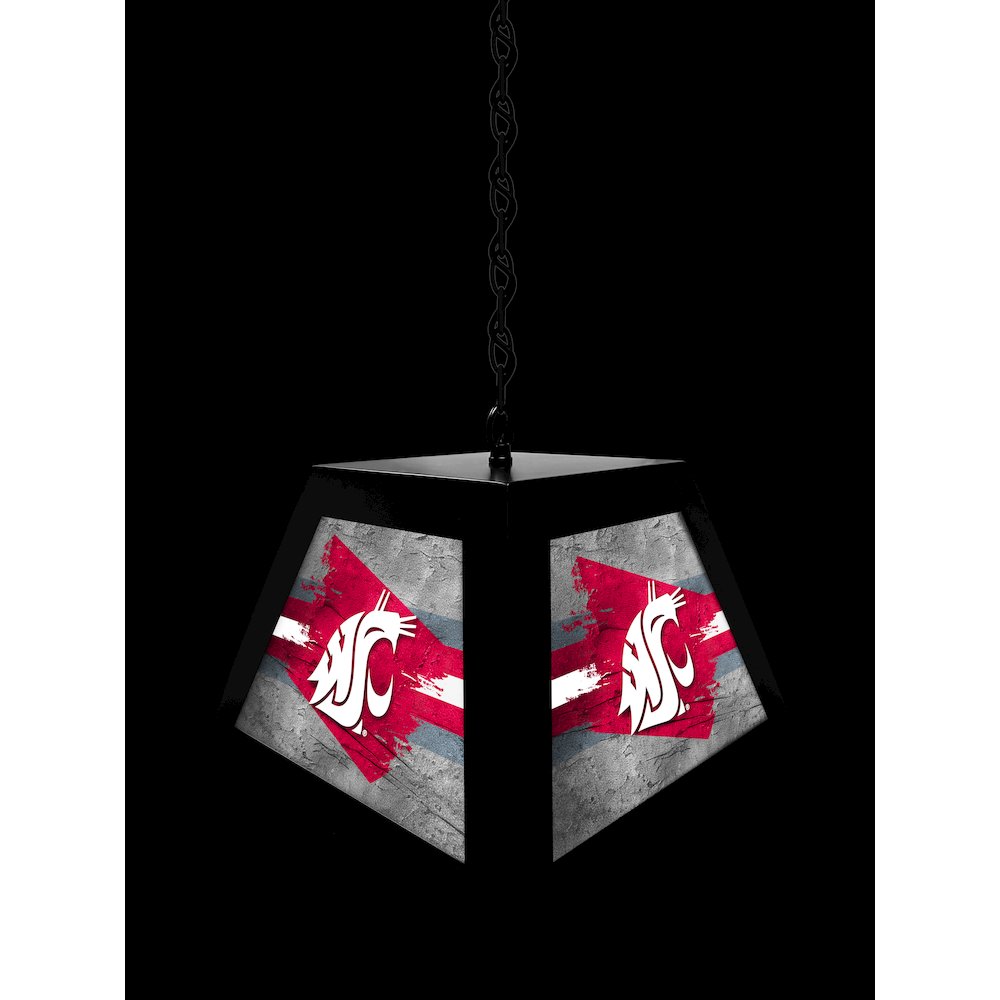 Washington State University Pendant Box Light. Picture 4