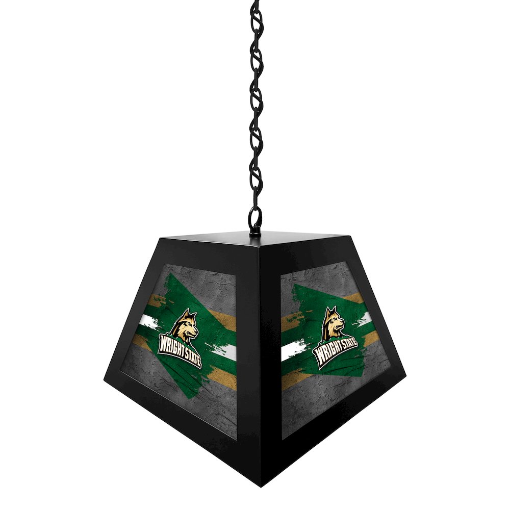 Wright State University Pendant Box Light. Picture 2
