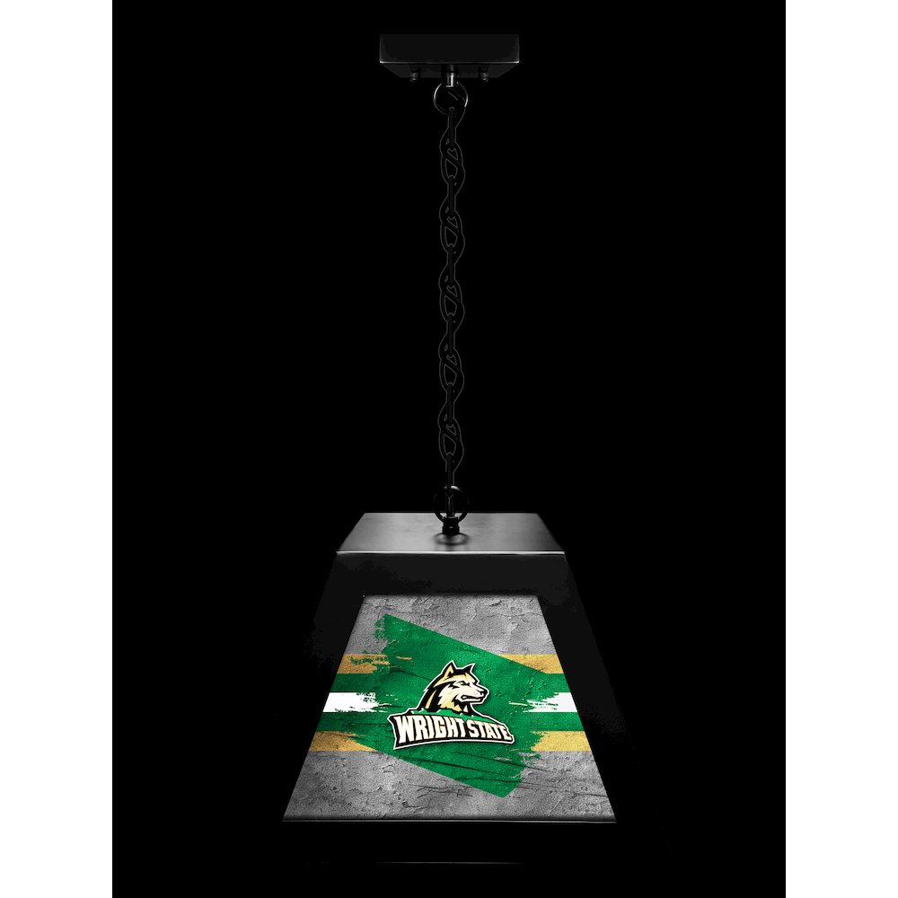 Wright State University Pendant Box Light. Picture 3