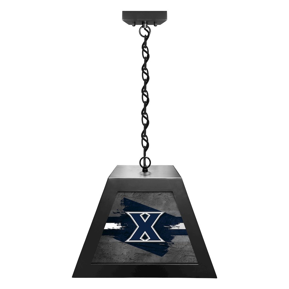 Xavier Pendant Box Light. Picture 1